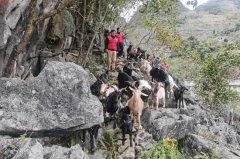 <b>的缴纳比例都达到了98%以上</b>