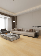 征询集团成立于2008年