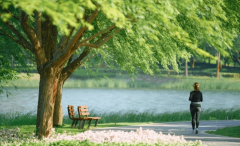 带电梯前室【约35㎡LDK会客堂】奢阔