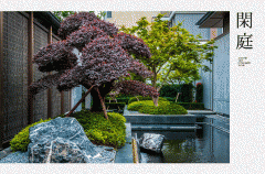 贸易稠密度和业态丰硕程度将比肩上海太